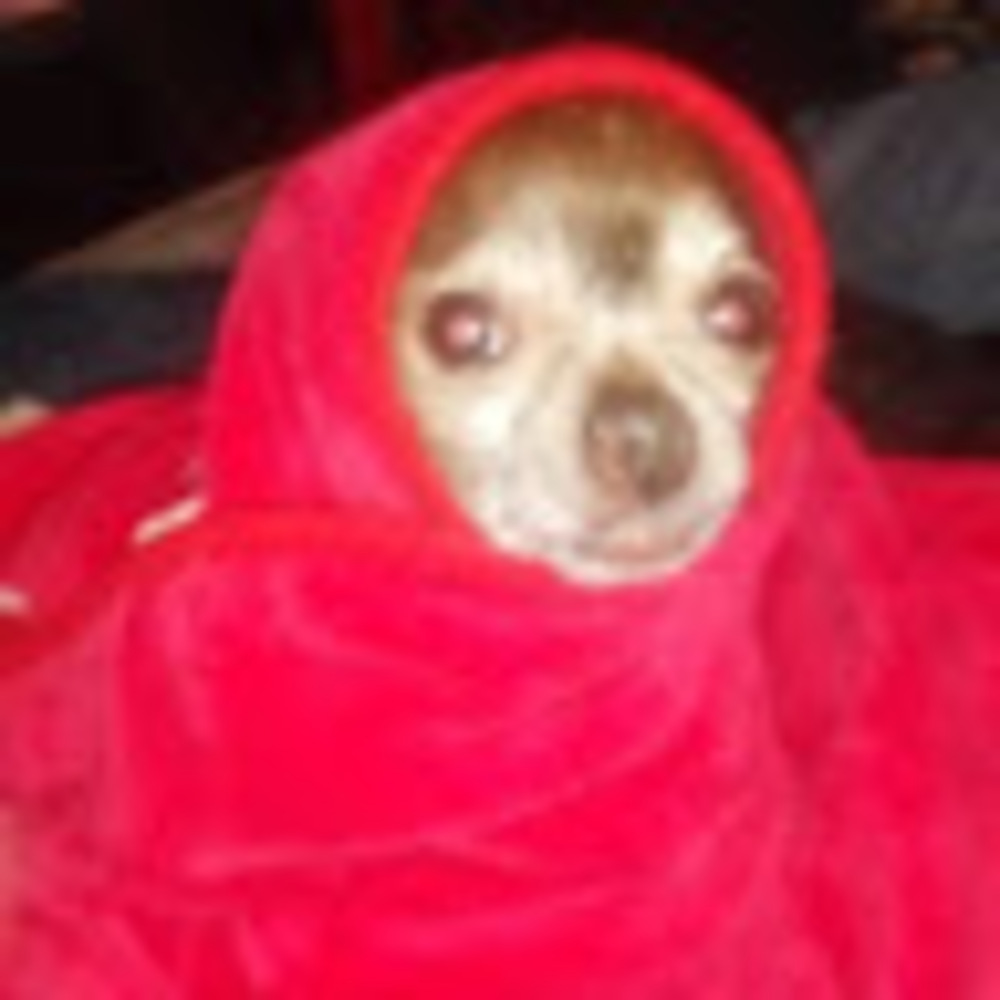 Meet your Posher, Jessica